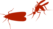 JPM 3D - Élimination insecte nuisibles volants